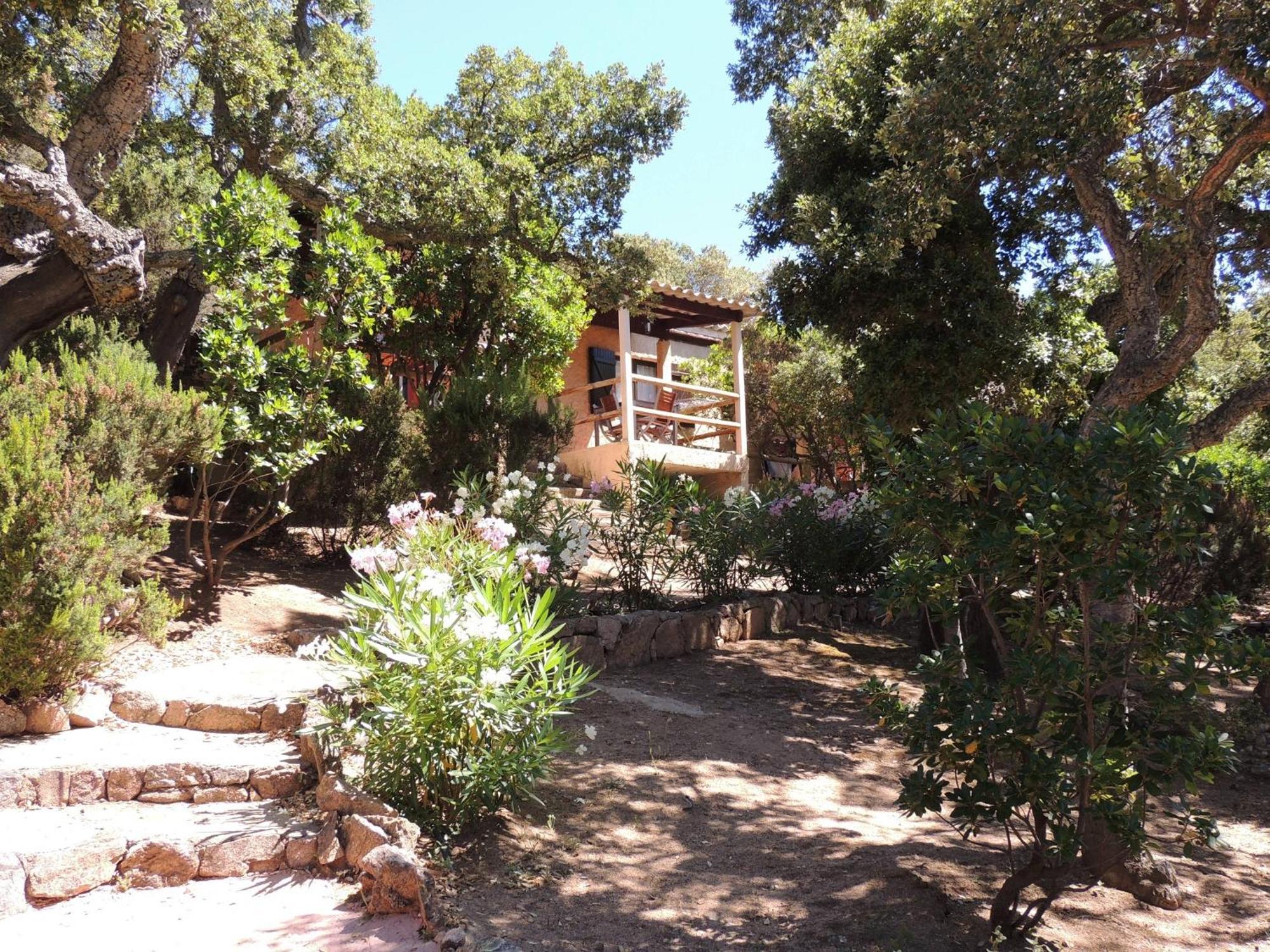 Du Maquis Porto-Vecchio (Corsica)